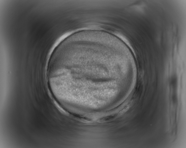 X0000086231485200704191749