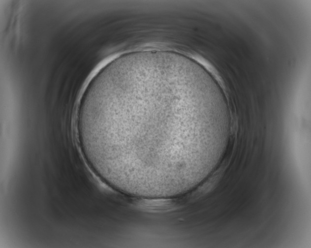 X0000086231486200704191749