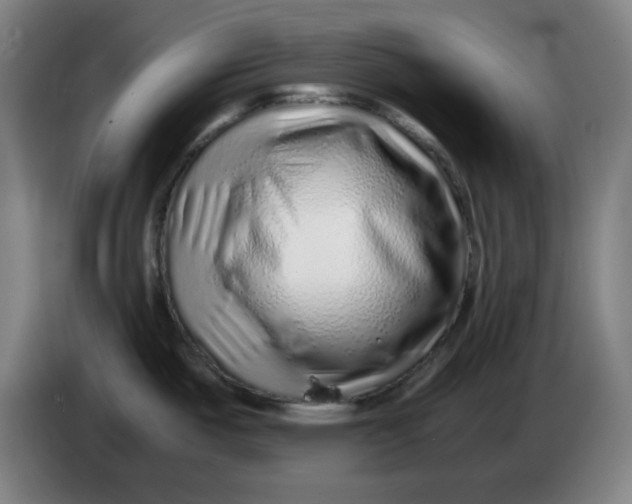 X0000086231487200704191749