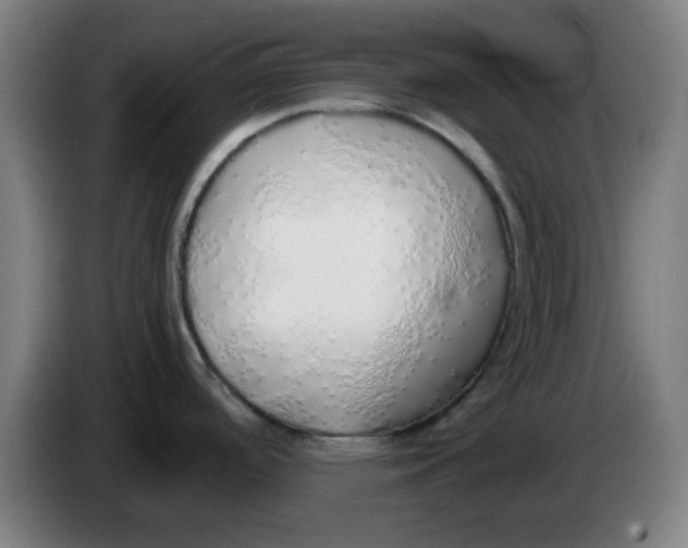 X0000086231488200704191749