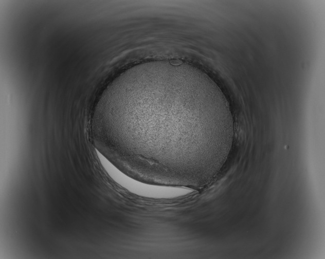 X0000086231490200704191748