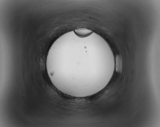 X0000086231491200704191748