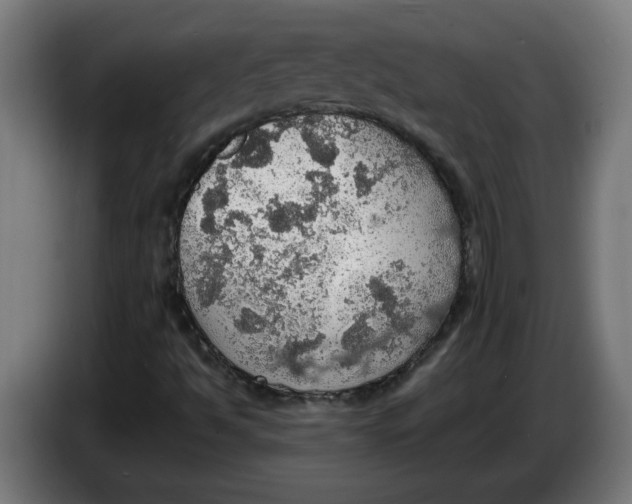 X0000086231494200704191748