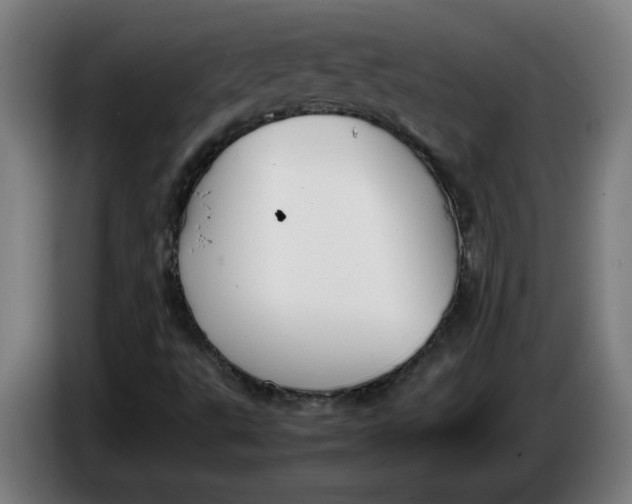 X0000086231495200704191748