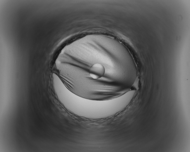 X0000086231496200704191748