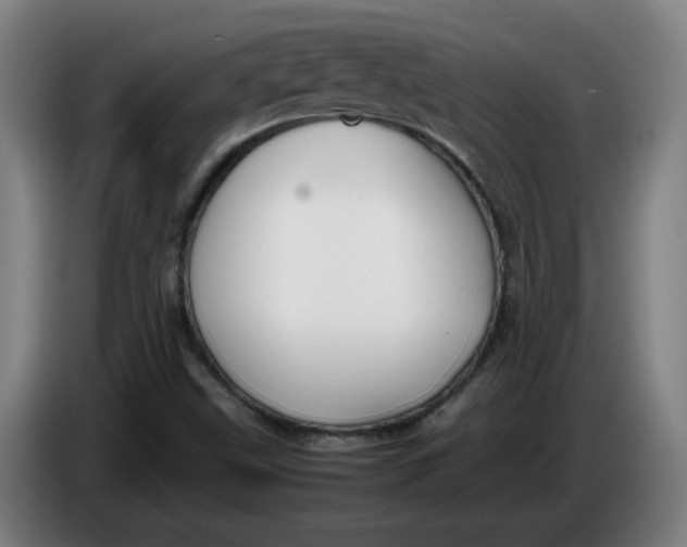 X0000086231499200704191748