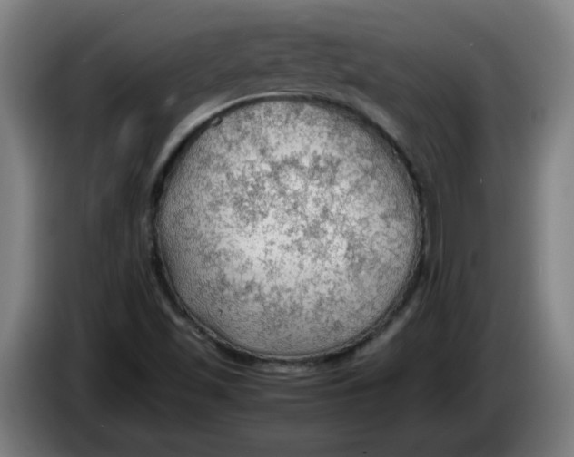 X0000086231501200704191748