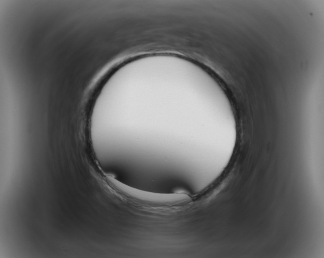 X0000086231502200704191748