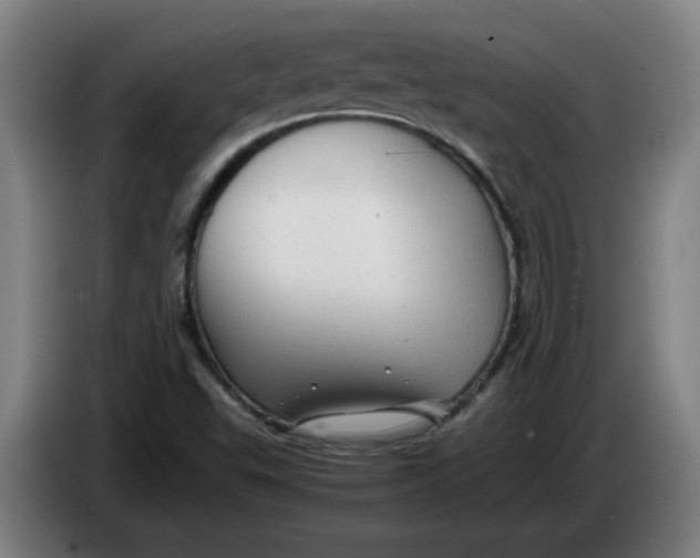 X0000086231503200704191748