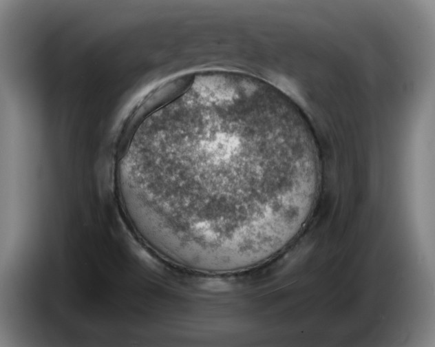 X0000086231504200704191748