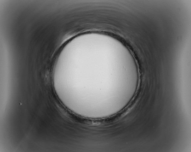 X0000086231505200704191748