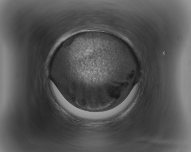 X0000086231506200704191748