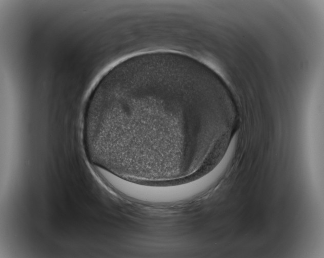 X0000086231508200704191748