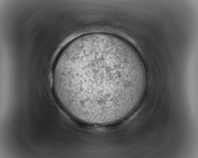 X0000086231509200704191748