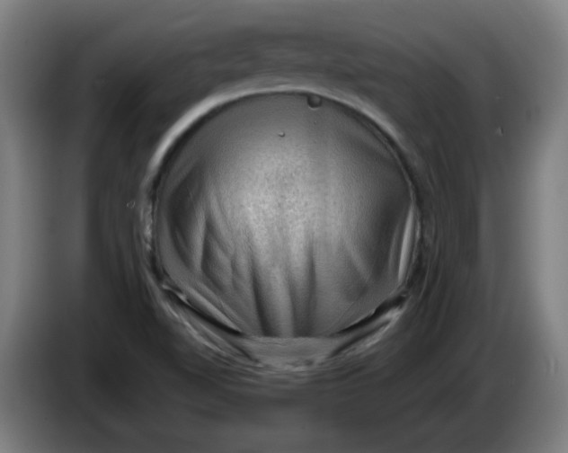 X0000086231510200704191748