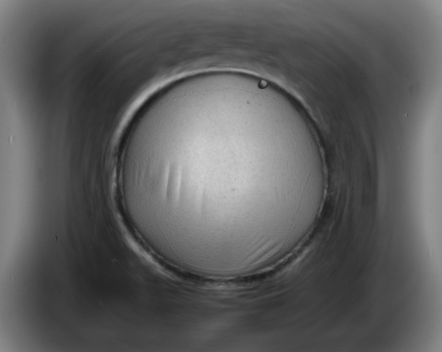 X0000086231511200704191748