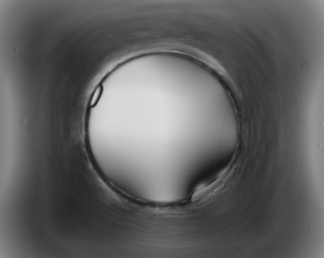 X0000086231512200704191748