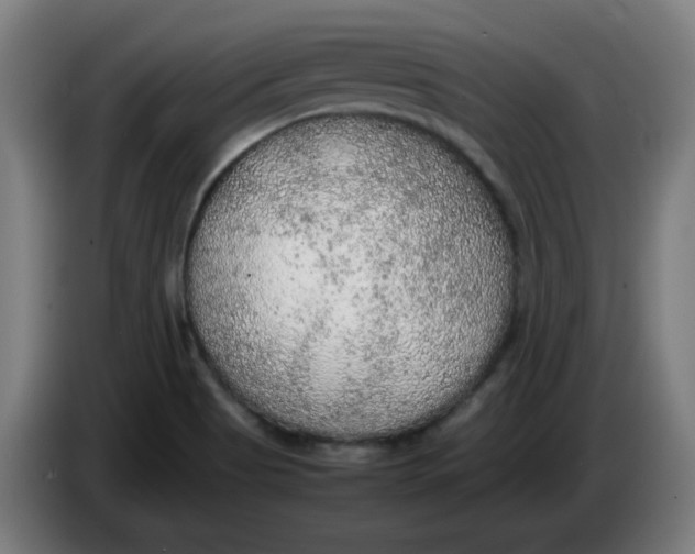 X0000086231513200704191748