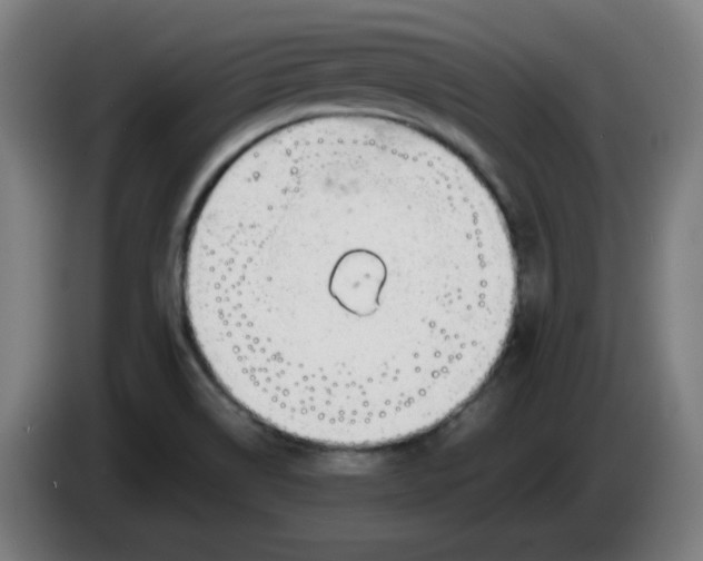 X0000086231514200704191748