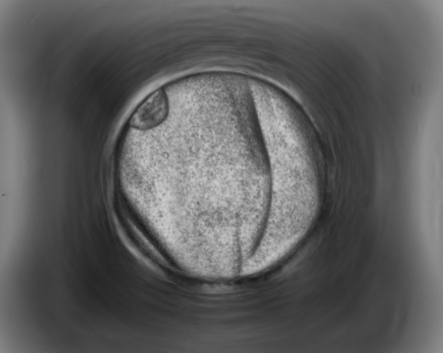 X0000086231515200704191748