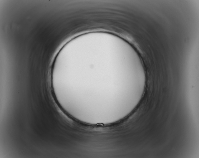 X0000086231516200704191748