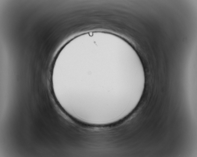 X0000086231518200704191748