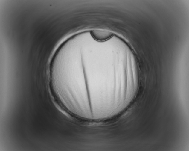 X0000086231519200704191749