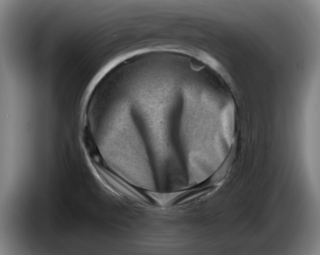 X0000086231520200704191749