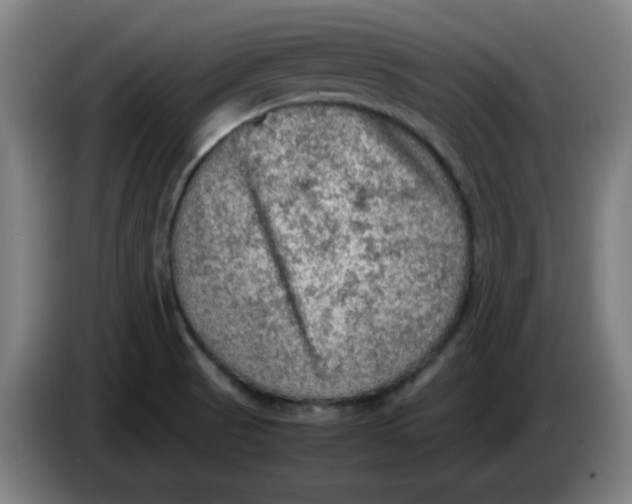 X0000086231521200704191749