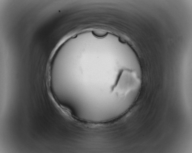 X0000086231522200704191749