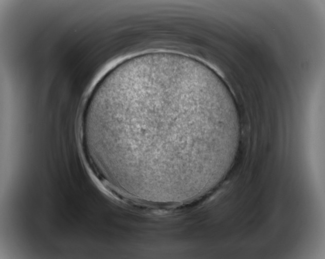 X0000086231523200704191749