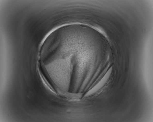 X0000086231524200704191749