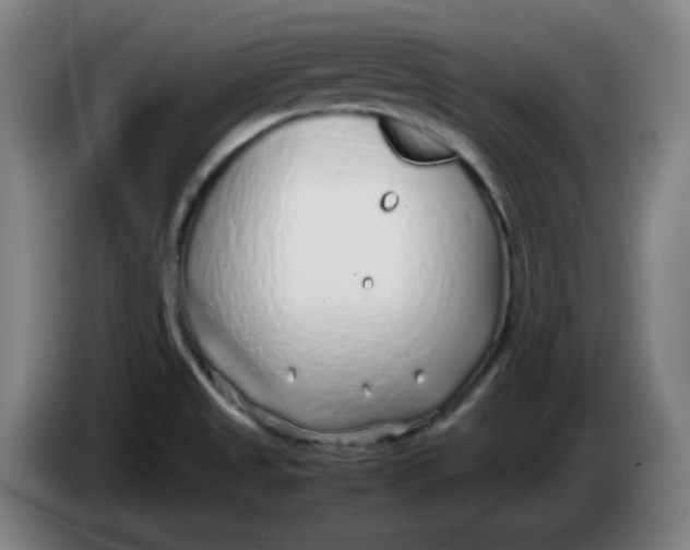 X0000086231525200704191749