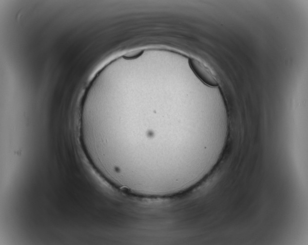 X0000086231526200704191749