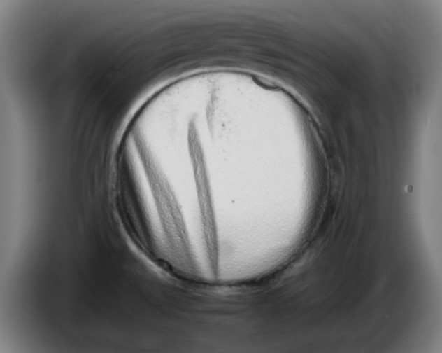 X0000086231527200704191749