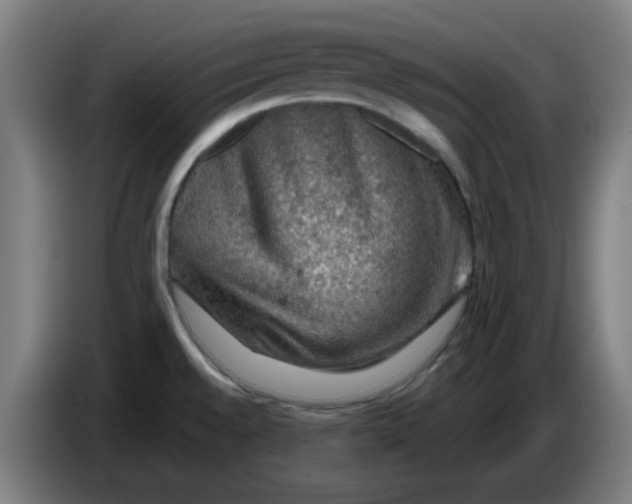 X0000086231528200704191749