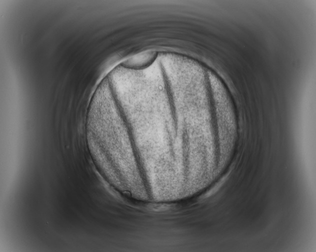 X0000086231529200704191749