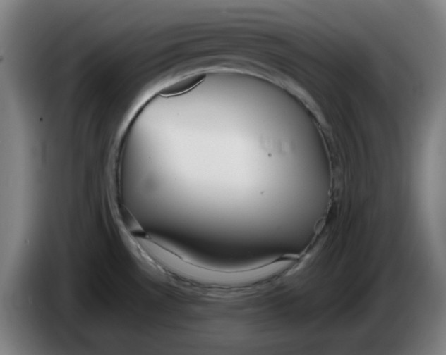 X0000086231530200704191749