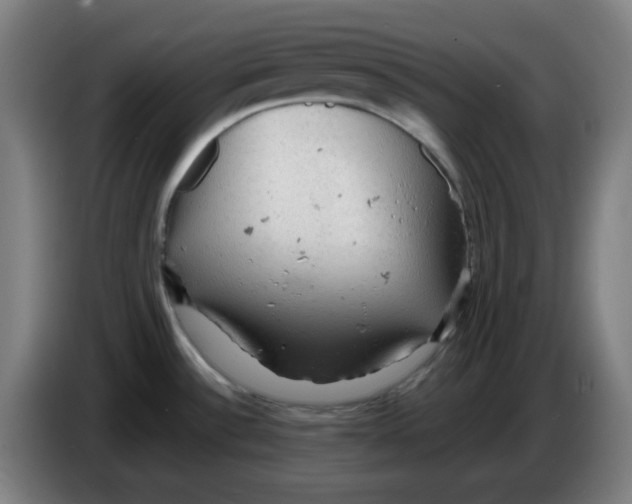 X0000086231532200704191749