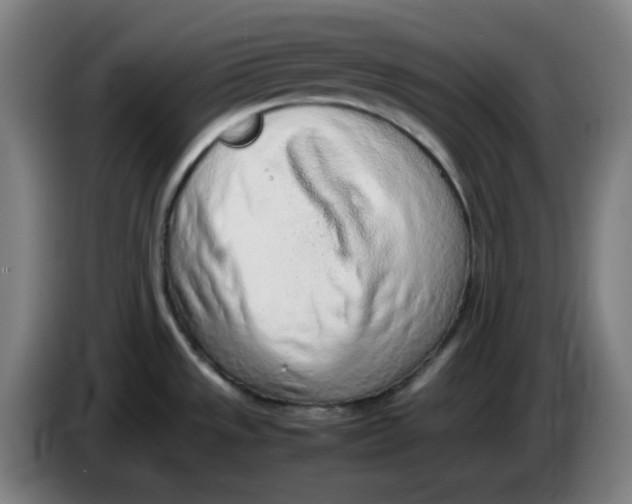 X0000086231533200704191749