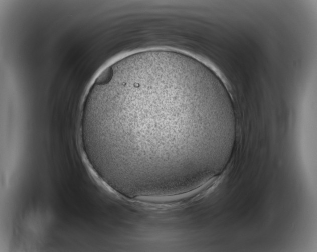 X0000086231534200704191749