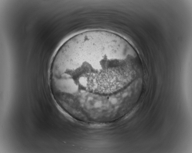 X0000086231535200704191749