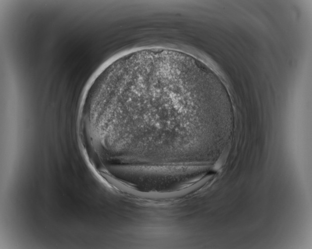 X0000086231536200704191749