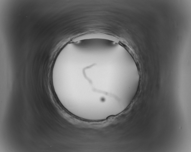 X0000086230001200704261905