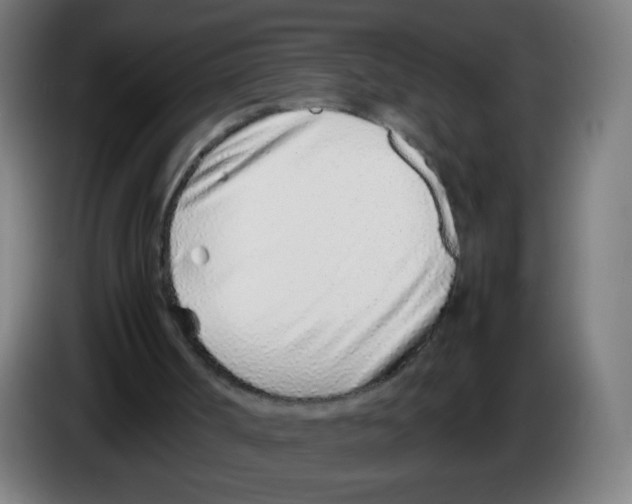 X0000086230002200704261905