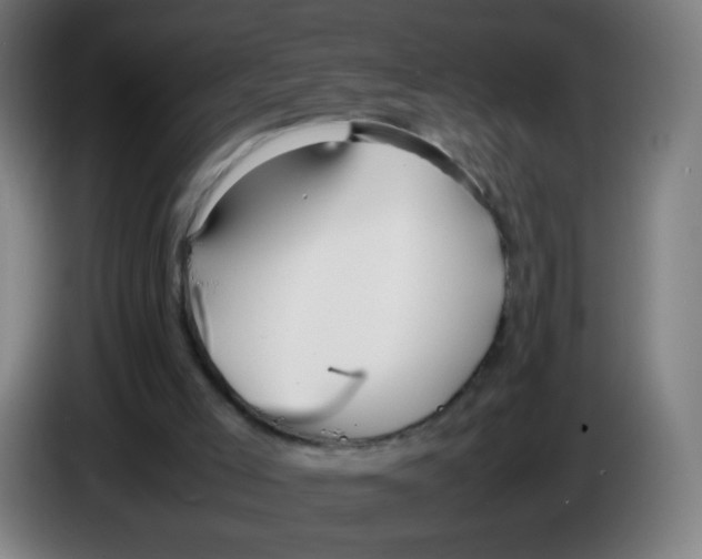 X0000086230005200704261905