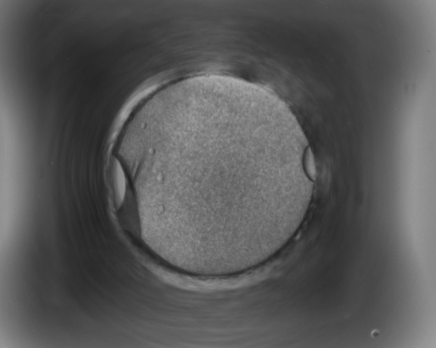 X0000086230006200704261905