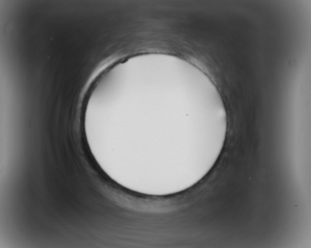 X0000086230008200704261905