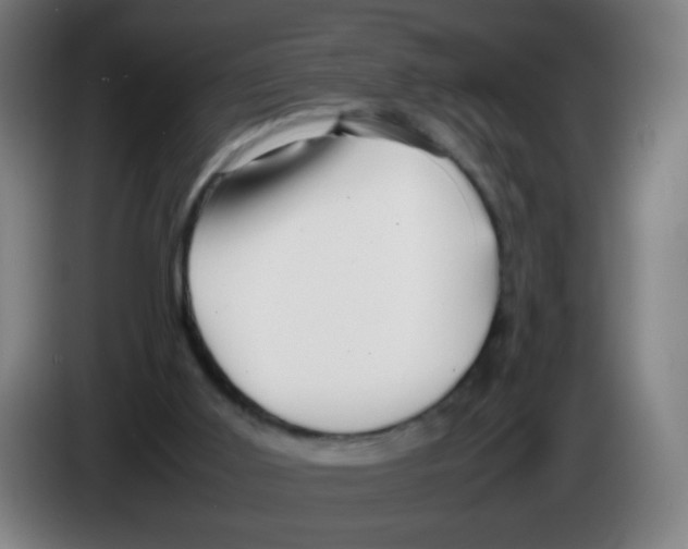 X0000086230011200704261905