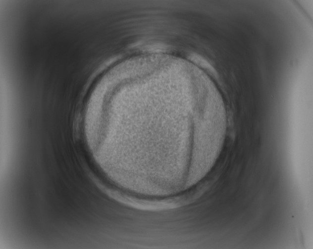 X0000086230012200704261905